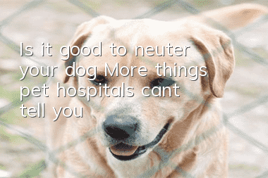 Is it good to neuter your dog? More things pet hospitals can’t tell you