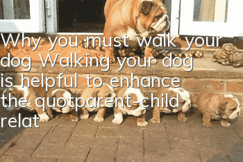 Why you must walk your dog? Walking your dog is helpful to enhance the "parent-child relationship"