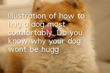 Illustration of how to hug a dog most comfortably. Do you know why your dog won’t be hugged?