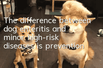 The difference between dog enteritis and minor high-risk diseases is prevention