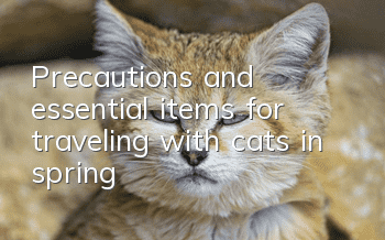 Precautions and essential items for traveling with cats in spring