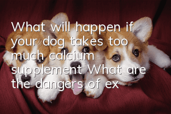 What will happen if your dog takes too much calcium supplement? What are the dangers of excessive calcium supplementation for your dog?