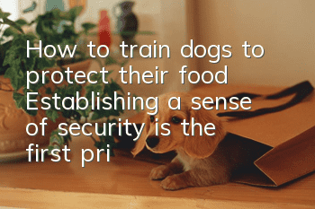 How to train dogs to protect their food? Establishing a sense of security is the first priority