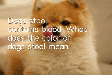 Dog's stool contains blood. What does the color of dog's stool mean?