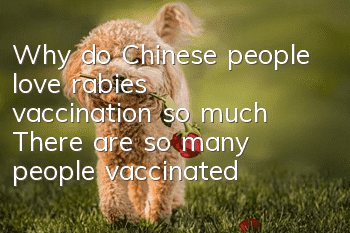 Why do Chinese people love rabies vaccination so much? There are so many people vaccinated against rabies in China