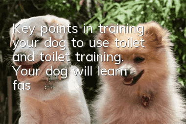 Key points in training your dog to use toilet and toilet training. Your dog will learn faster if you use the training method!