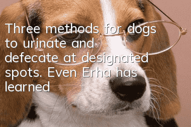 Three methods for dogs to urinate and defecate at designated spots. Even Erha has learned it!