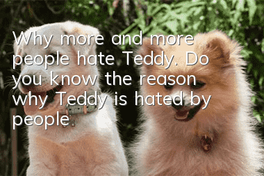 Why more and more people hate Teddy. Do you know the reason why Teddy is hated by people?