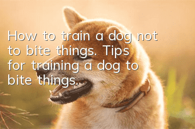 How to train a dog not to bite things. Tips for training a dog to bite things.
