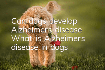 Can dogs develop Alzheimer’s disease? What is Alzheimer’s disease in dogs?