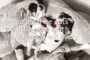 Will Teddy be unhealthy if he eats too little? How much should a dog eat every day?