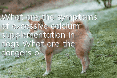What are the symptoms of excessive calcium supplementation in dogs? What are the dangers of excessive calcium supplementation in dogs?