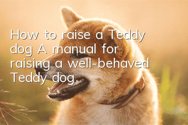 How to raise a Teddy dog? A manual for raising a well-behaved Teddy dog
