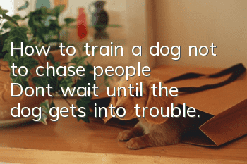 How to train a dog not to chase people? Don’t wait until the dog gets into trouble.