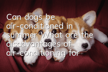 Can dogs be air-conditioned in summer? What are the disadvantages of air-conditioning for dogs?