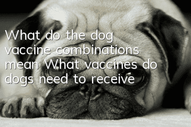 What do the dog vaccine combinations mean? What vaccines do dogs need to receive?