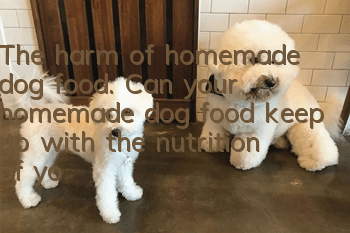 The harm of homemade dog food. Can your homemade dog food keep up with the nutrition of your dog?