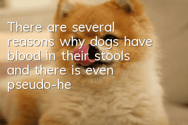 There are several reasons why dogs have blood in their stools, and there is even pseudo-hematonia.