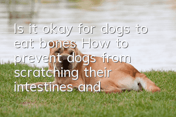 Is it okay for dogs to eat bones? How to prevent dogs from scratching their intestines and stomach when eating bones?