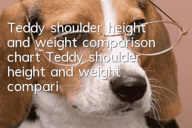 Teddy shoulder height and weight comparison chart Teddy shoulder height and weight comparison chart illustration