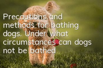 Precautions and methods for bathing dogs. Under what circumstances can dogs not be bathed?