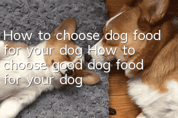 How to choose dog food for your dog How to choose good dog food for your dog