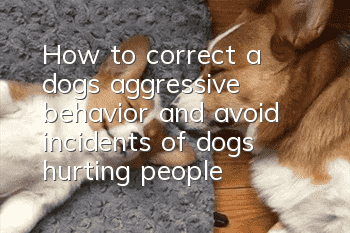 How to correct a dog’s aggressive behavior and avoid incidents of dogs hurting people?