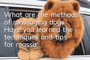 What are the methods of massaging dogs? Have you learned the techniques and tips for massaging dogs?