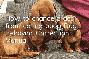 How to change a dog from eating poop Dog Behavior Correction Manual