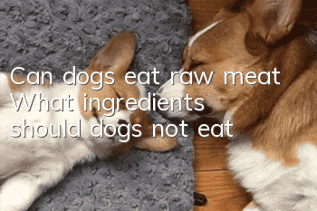 Can dogs eat raw meat? What ingredients should dogs not eat?