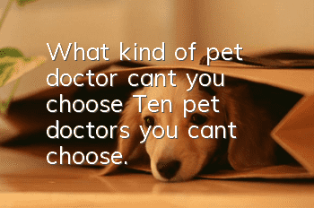 What kind of pet doctor can’t you choose? Ten pet doctors you can’t choose.
