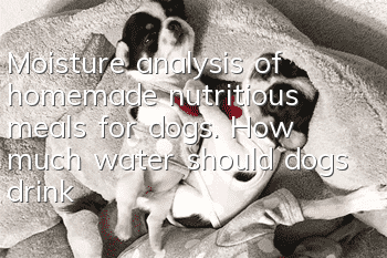 Moisture analysis of homemade nutritious meals for dogs. How much water should dogs drink every day?
