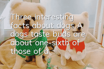 Three interesting facts about dogs: A dog’s taste buds are about one-sixth of those of a human