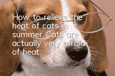 How to relieve the heat of cats in summer? Cats are actually very afraid of heat.