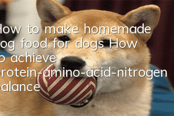 How to make homemade dog food for dogs How to achieve protein-amino-acid-nitrogen balance