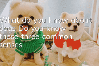 What do you know about dogs? Do you know these three common senses?