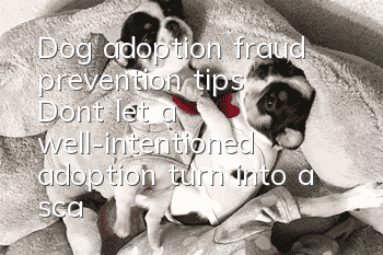 Dog adoption fraud prevention tips: Don’t let a well-intentioned adoption turn into a scam