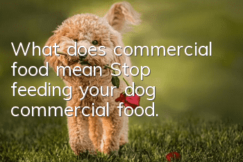 What does commercial food mean? Stop feeding your dog commercial food.