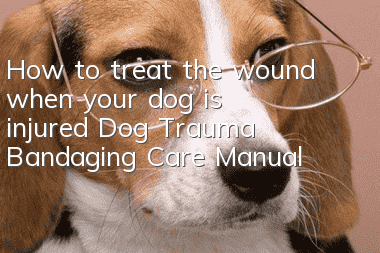 How to treat the wound when your dog is injured Dog Trauma Bandaging Care Manual