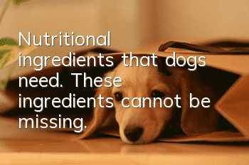 Nutritional ingredients that dogs need. These ingredients cannot be missing.
