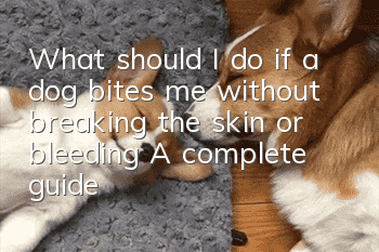What should I do if a dog bites me without breaking the skin or bleeding? A complete guide to dealing with dog bites