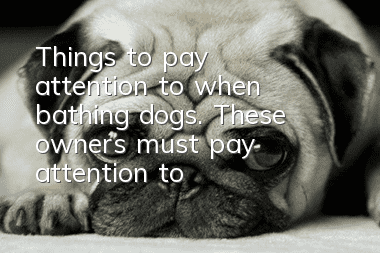 Things to pay attention to when bathing dogs. These owners must pay attention to