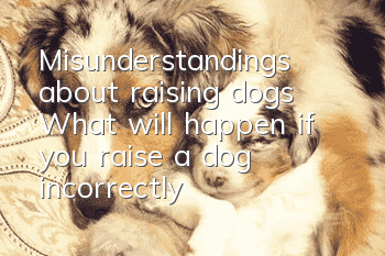 Misunderstandings about raising dogs What will happen if you raise a dog incorrectly?