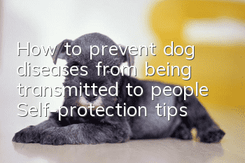 How to prevent dog diseases from being transmitted to people Self-protection tips