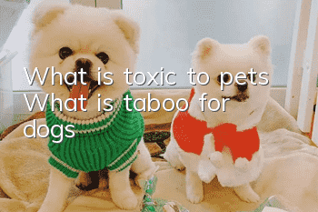 What is toxic to pets? What is taboo for dogs?