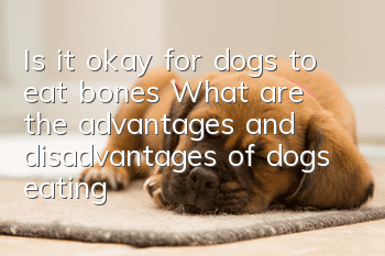 Is it okay for dogs to eat bones? What are the advantages and disadvantages of dogs eating bones?
