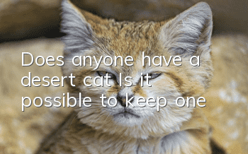 Does anyone have a desert cat? Is it possible to keep one?