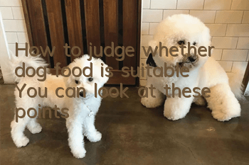 How to judge whether dog food is suitable? You can look at these points