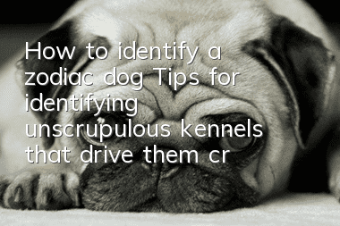 How to identify a zodiac dog? Tips for identifying unscrupulous kennels that drive them crazy