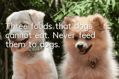 Three foods that dogs cannot eat. Never feed them to dogs.